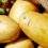 Hope campaign to unpack position of potatoes during pandemic