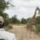Tintswalo Celebrates A Year Of Virtual Safaris