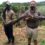 Southern African python hatchlings safely released by Crocworld Team