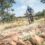 Magalies Monster set to live up to its name in June 2021!