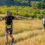 Savanna Origin of Trails Training Run set to take Blaauwklippen Wine Estate by storm!