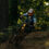 ‘Between the Races’ Video Following Iconic MTB Racer Sam Hill