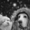 Tips to keep your furry companion protected this Winter