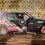Win A E30 Box Shape with Monster!