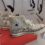 Converse Honours Women This Women’s Month