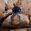 WRANGLER   JEANS –  Every Shade Of Denim You Should Own
