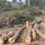 Efforts to enlarge the Garden Route conservation footprint through the creation of conservation corridors on private land are catalytic for conservation