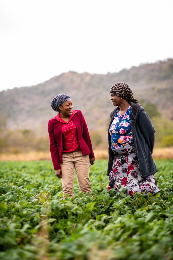 Spars Rural Hub Programme SPAR’s Rural Hub Programme exemplifies the empowerment of small-scale ...