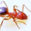 011 Pest Control’s new office opening in Johannesburg South