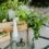 Grow Your Own Gin Garden