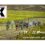 TheTHIRSTI AFRICANX TRAILRUN is searching for three Development Teams!