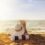 Popular South African spots that should be on everyone’s staycation bucket list in 2022