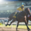 Global Team Horse Racing Set To Dazzle Audiences In Durban