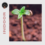 T.H-C Watseba drops “Indo” E.P