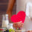 What dieticians want you to know about gut health