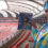 Virtual challenge gets real as women head for NMB Stadium