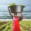 Shoprite provides affordable financing options to its suppliers, including SMMEs