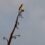Enjoy some awesome springtime bird sightings along the mid-South Coast