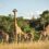 The KZN South Coast is primed for tourism development through its investment attractiveness