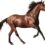Essential FAQs on Horse Joint Supplements: What You Need to Know