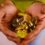 What You Need To Know About Selling Your Gold Coins For Cash