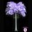 Why Ostrich Feathers Are the Ultimate Luxury Decor Item