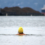 The Joy of Cold Water Immersion