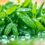 Transform Your Love Life with VIREKTA: The Herbal Game-Changer for ED