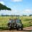 The Ultimate Kosher Safari Experience: A Journey of a Lifetime