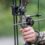 The Art of Bow Hunting in South Africa