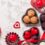 A Guide to the Perfect Chocolate Gift