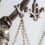 Understanding the Role of Legal Support in Various Aspects of Life