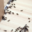 Effective Eco-Friendly Solutions for Controlling Ants in the Kitchen