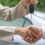 Top Tips to Sell Your Damaged Car for Cash
