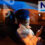 Driving Safety Forward:  Netstar’s Four-Year Commitment to Transforming Scholar Transport.