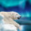 27 February Is International Polar Bear Day