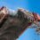 The Role of Metal Detection in Conveyor Systems