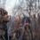 The Allure and Ethics of Safari Hunting in South Africa