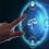 The Evolution of Legal Software in South Africa