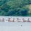 Champions Again: St Benedict’s Boys Secure SA’s Top Rowing Title for 31st Straight Year