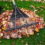 Autumn Garden Preparation Critical for Pretoria’s Commercial Properties