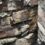 Winter Warning: Why Johannesburg Homes Are More Vulnerable to Rodent Invasions During Cold Months