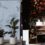 Fire-Safe Custom Wallpaper Solutions Meet Strict Safety Standards Without Compromising Style