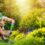 Green Green Cube Maintenance & Landscaping Identifies Five Critical Warning Signs for Professional Garden Restoration in Pretoria