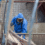 Dealing With Asbestos: What Every Property Owner Should Know