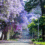 Simple Ways to Find Good Apartments in Pretoria East