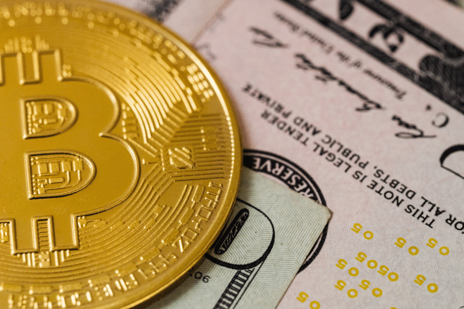 Learn the Basics With a Crypto Trading Free Course