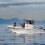 Oceans Africa Announces the Opening of the 2025/26 Summer Season for Diving in Cape Town