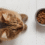 Feeding Cats Properly for Better Health and Happiness