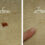 Innovative Stain Removal Solutions Introduced by South Africa Carpet Cleaners for Commercial and Residential Spaces